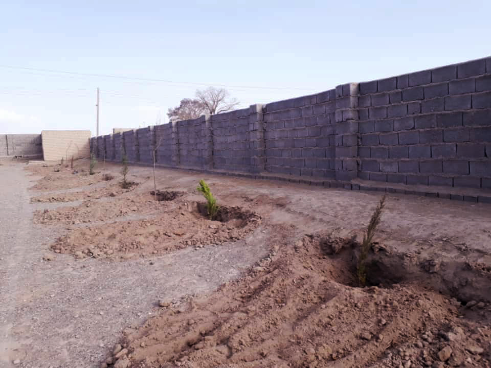 project_tree_planting_PHOTO-2020-03-09-14-15-46.png