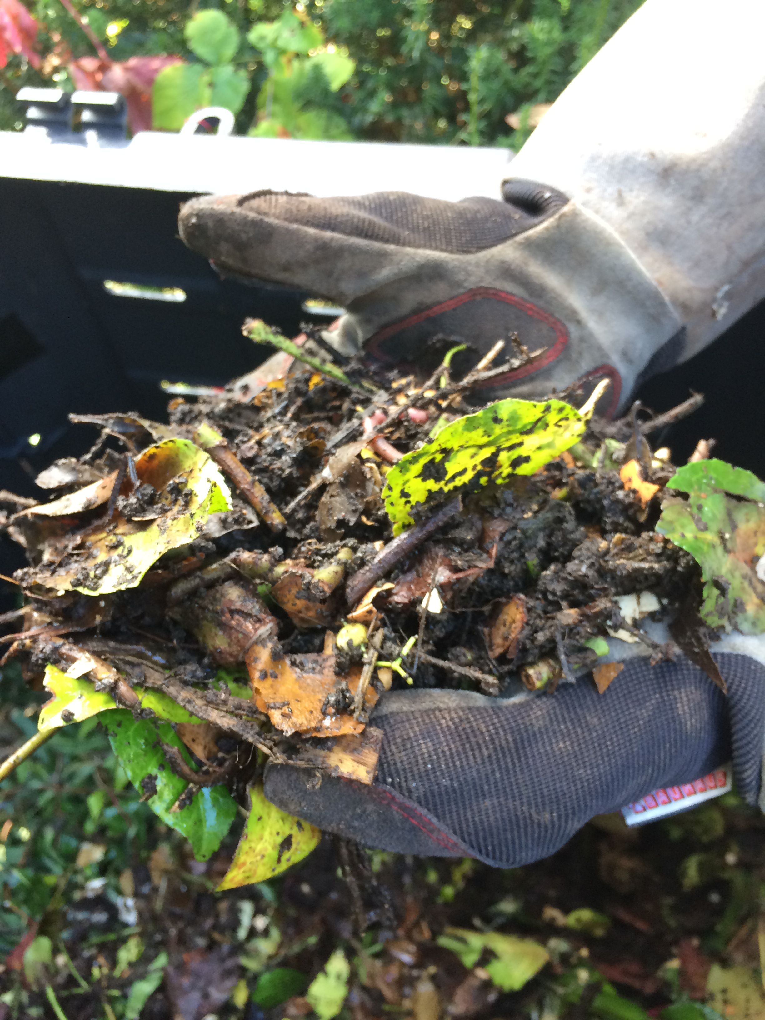 compost_ingredients.jpg