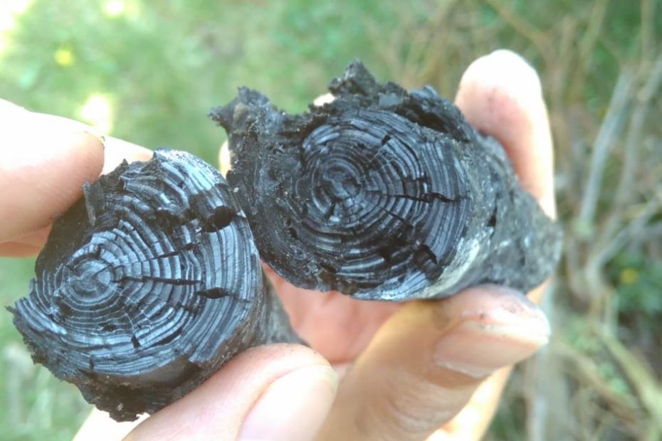 biochar_closeup_v2.jpg