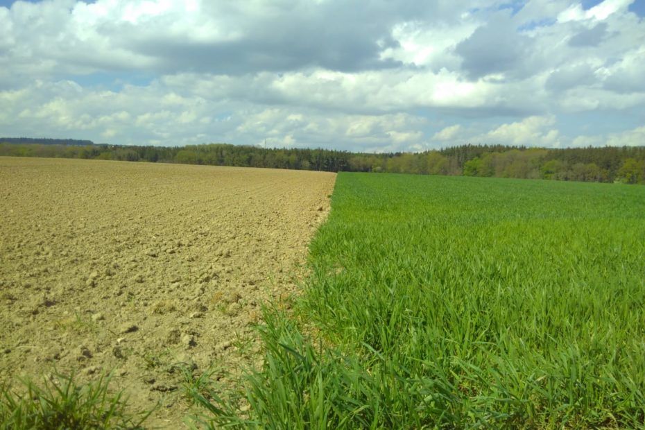 soil_Treatment.jpg