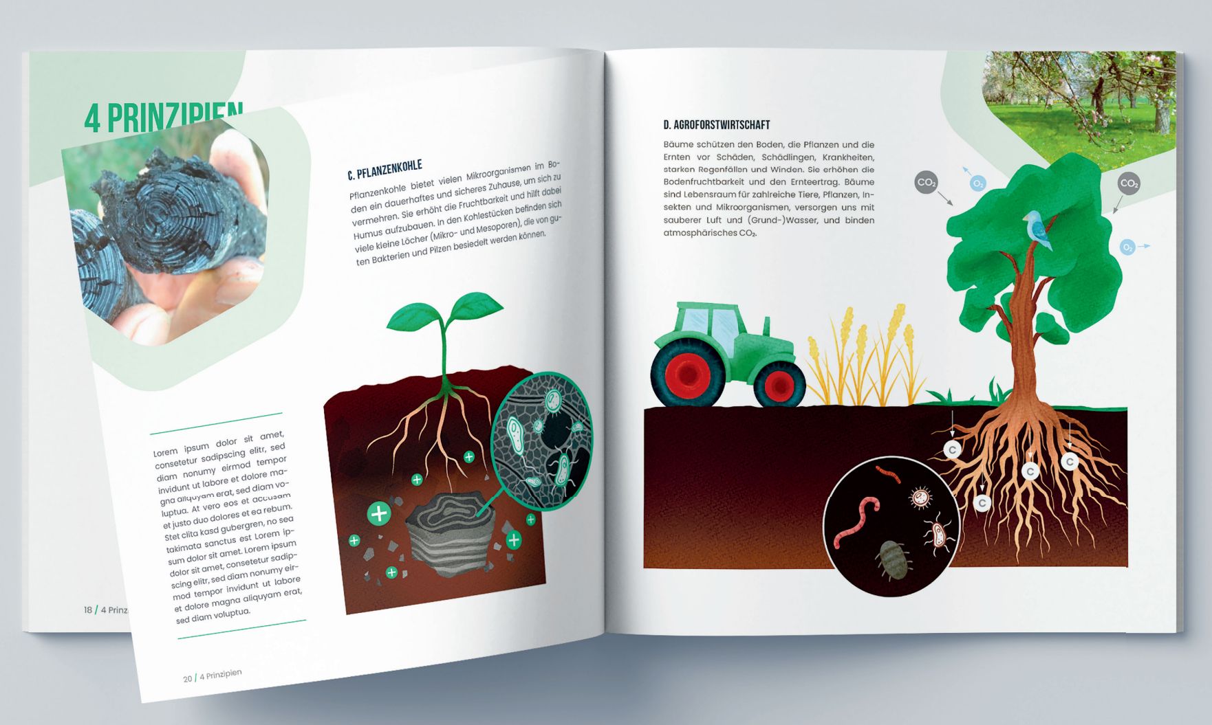 project_booklet_v2.jpg