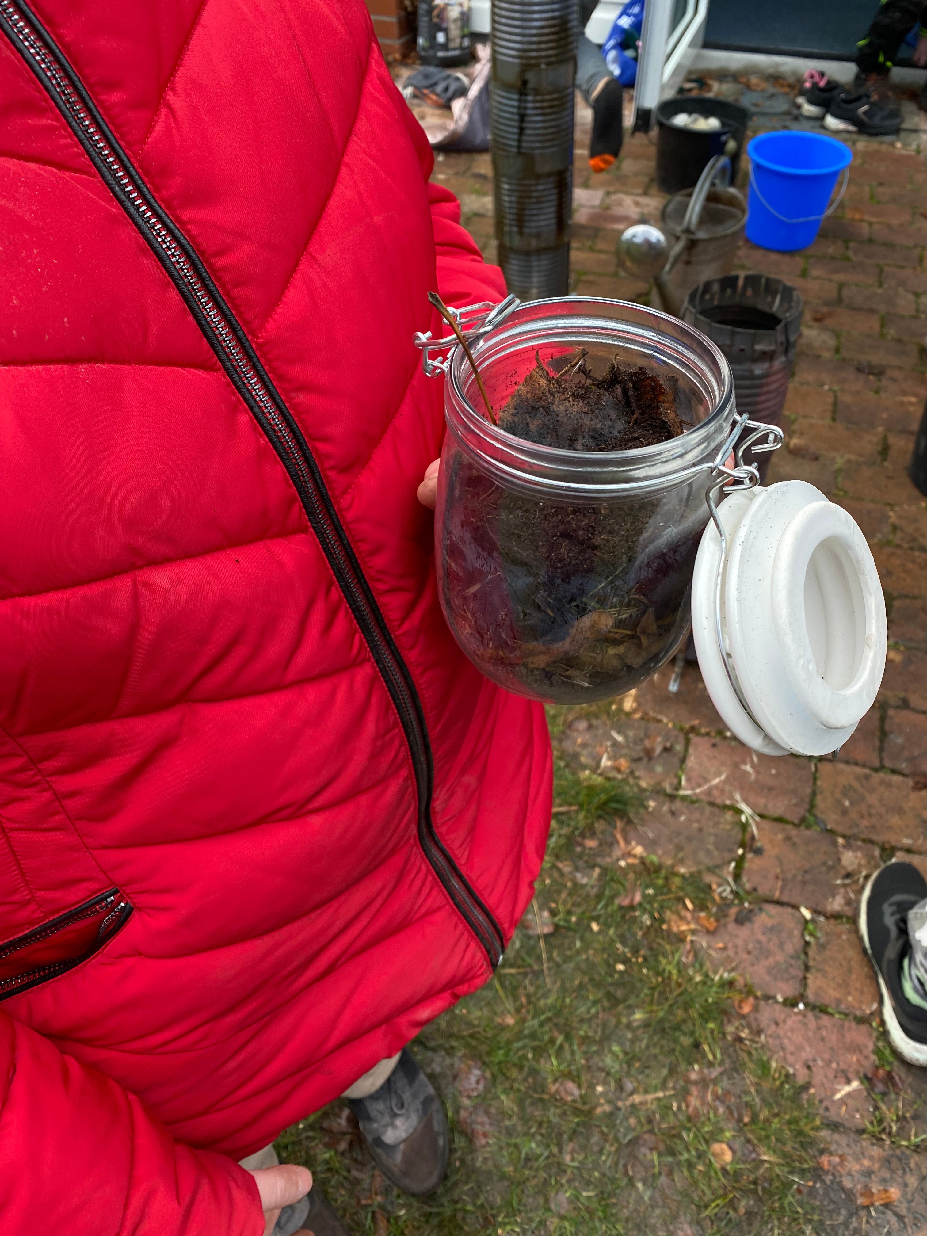 school-project-mini-compost.JPG