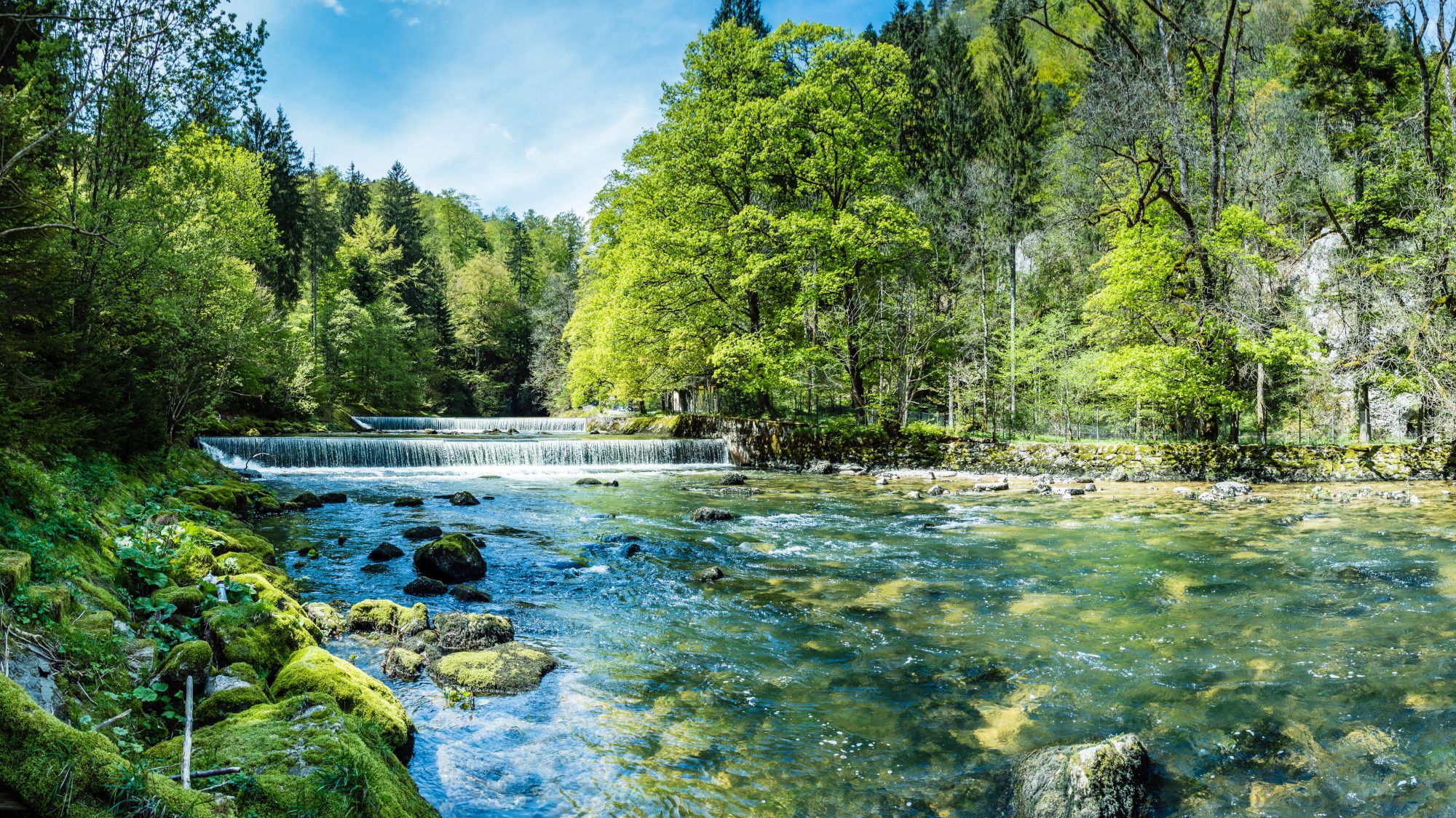 nature-02.jpeg