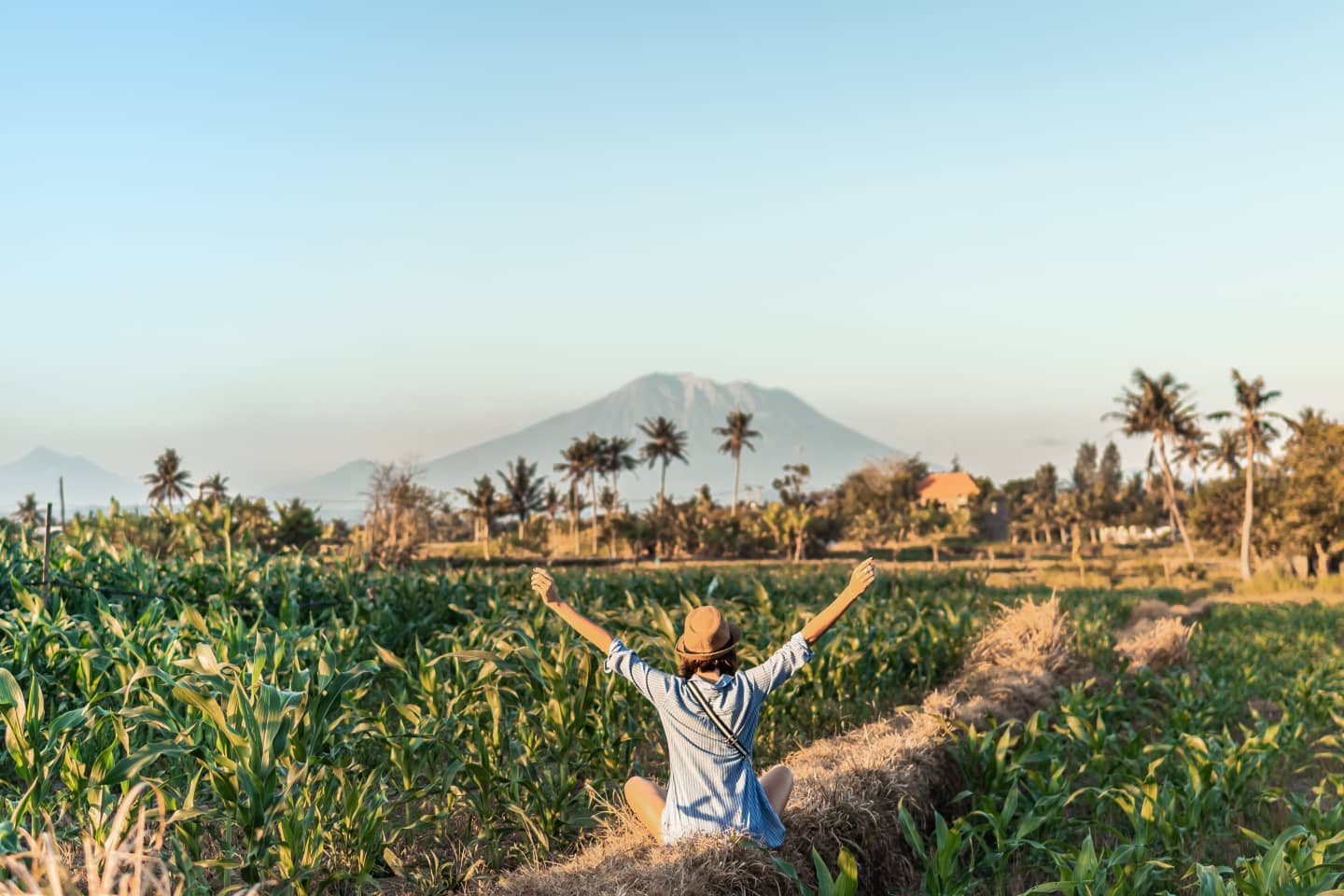 Agriculture3.jpg
