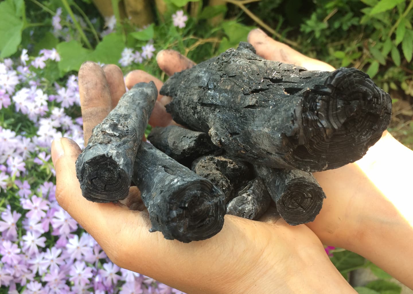 biochar_closeup_v1.png