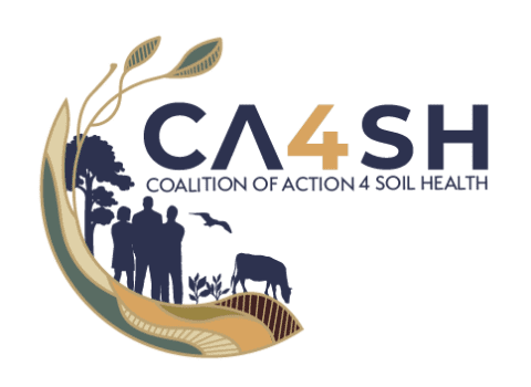 CA4SH Logo-01.png