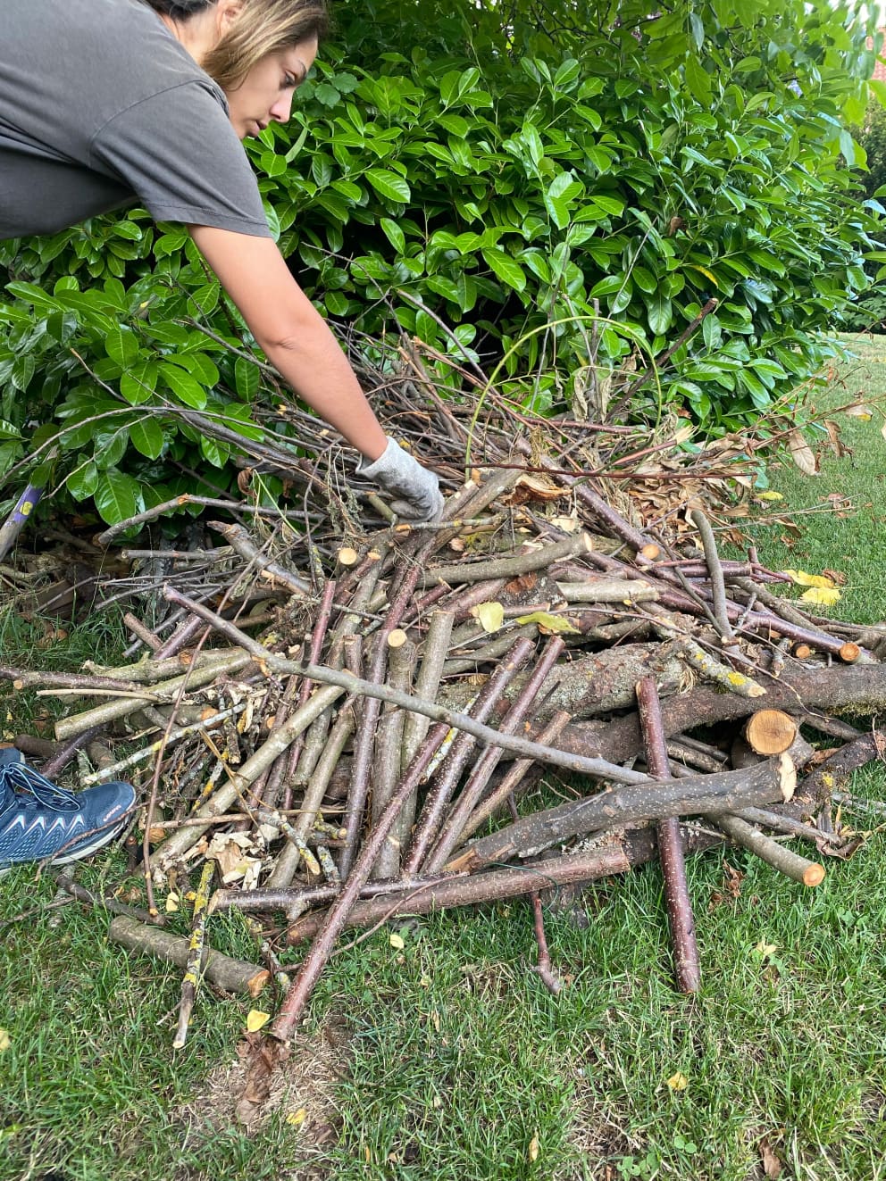 Make biochar in your home garden | betterSoil