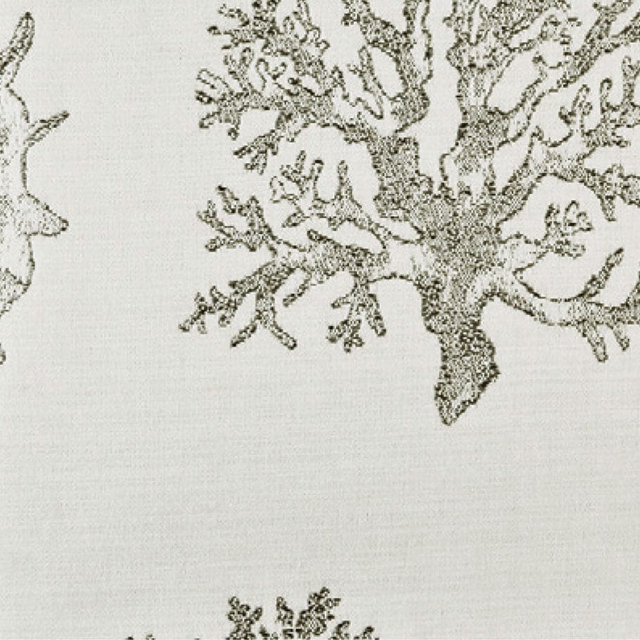 SEA FAN