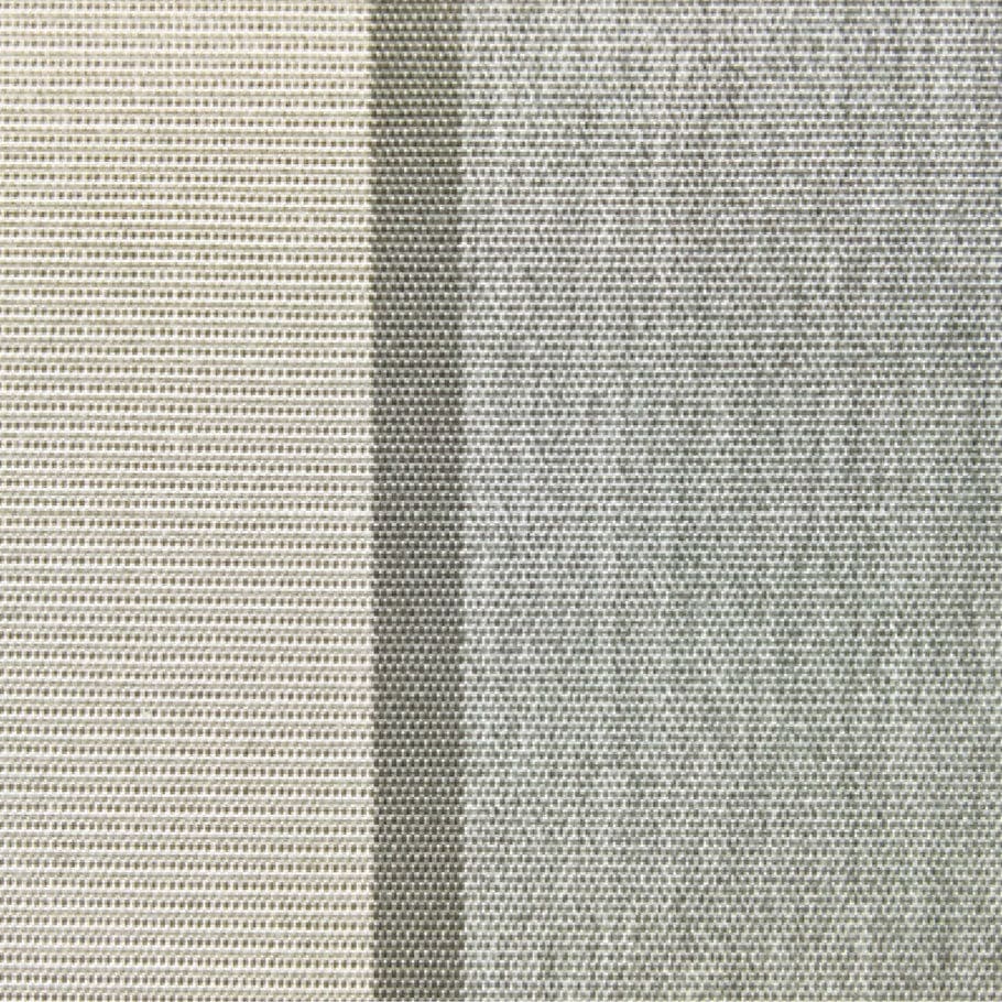 SAVANNAH
