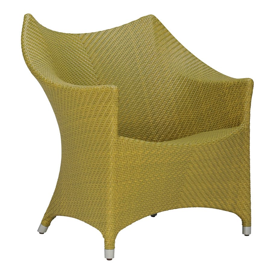 Amari Collection | JANUS et Cie