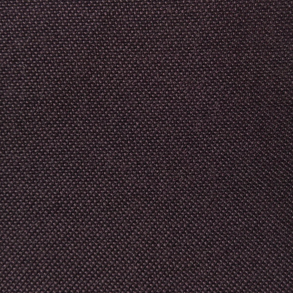 Regina - Mulberry