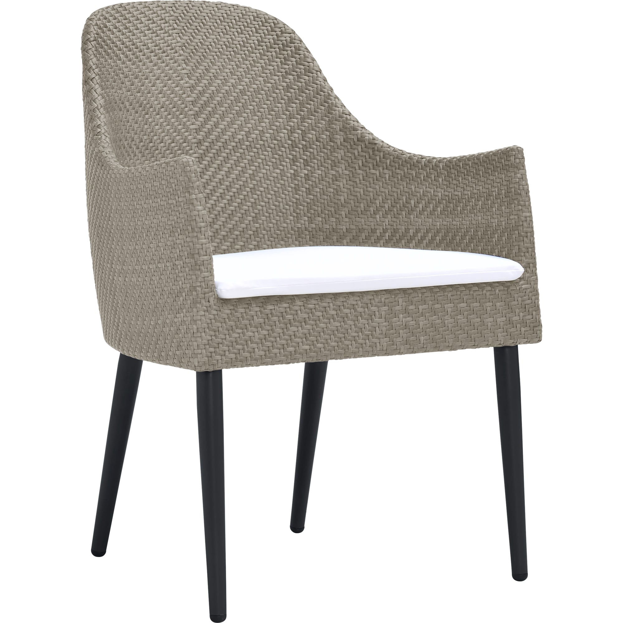 Agave