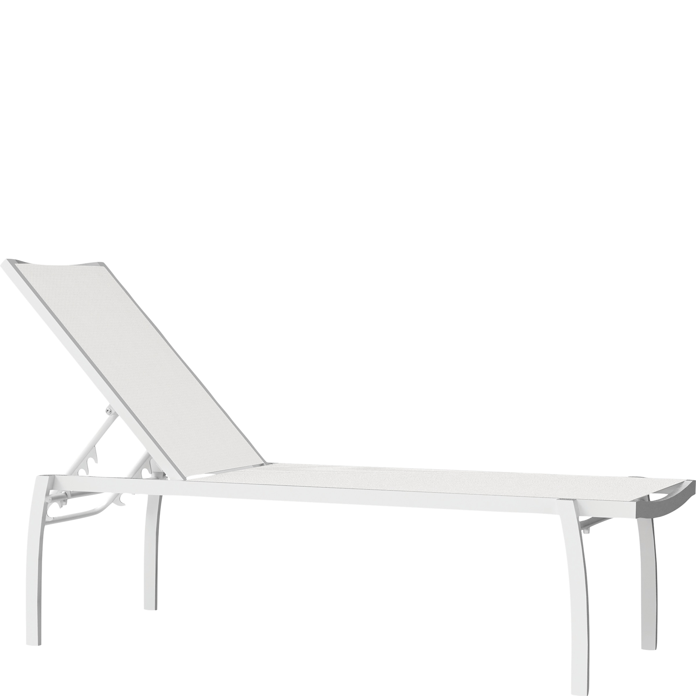 White/white