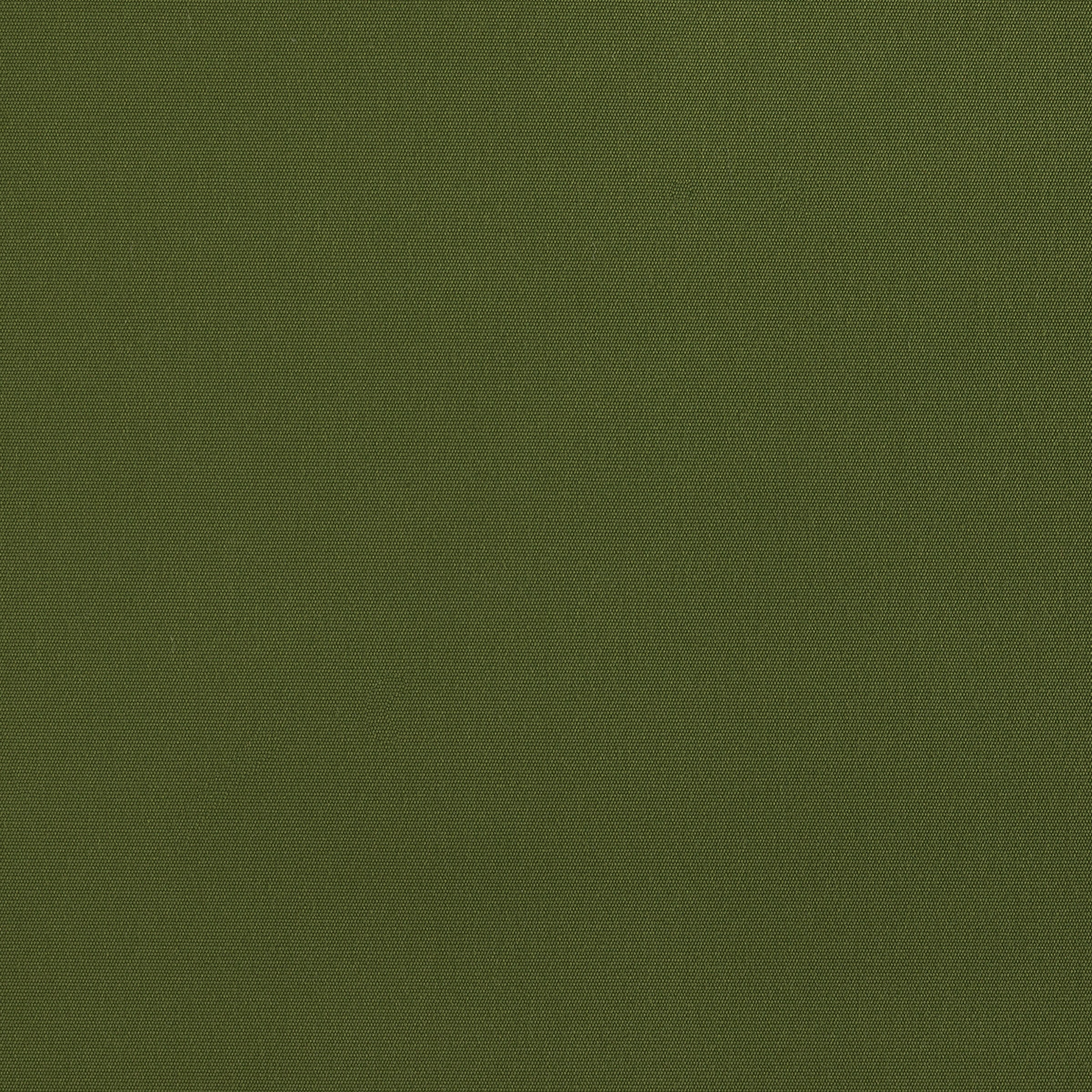Moss