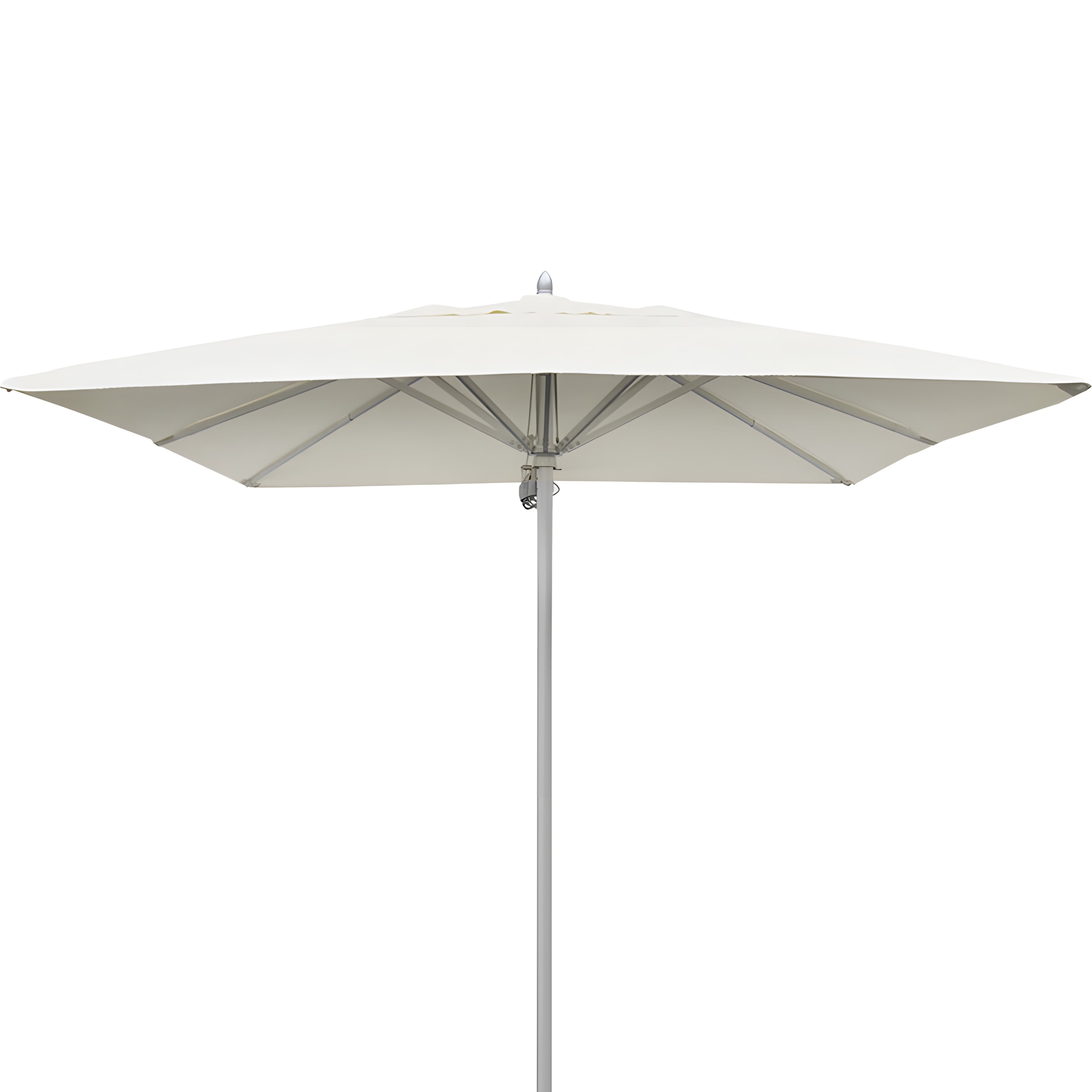 Poly Canopy