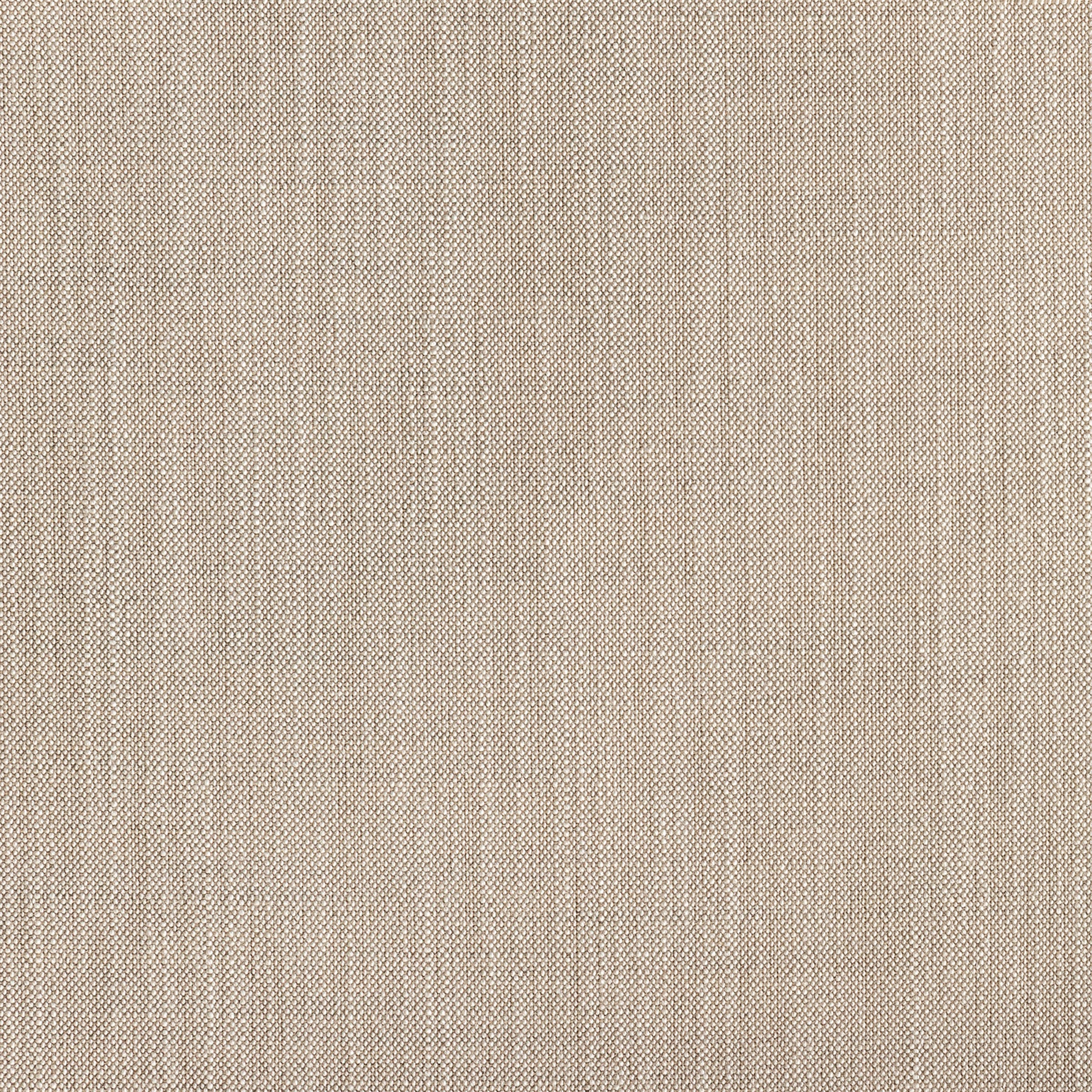 Poplar