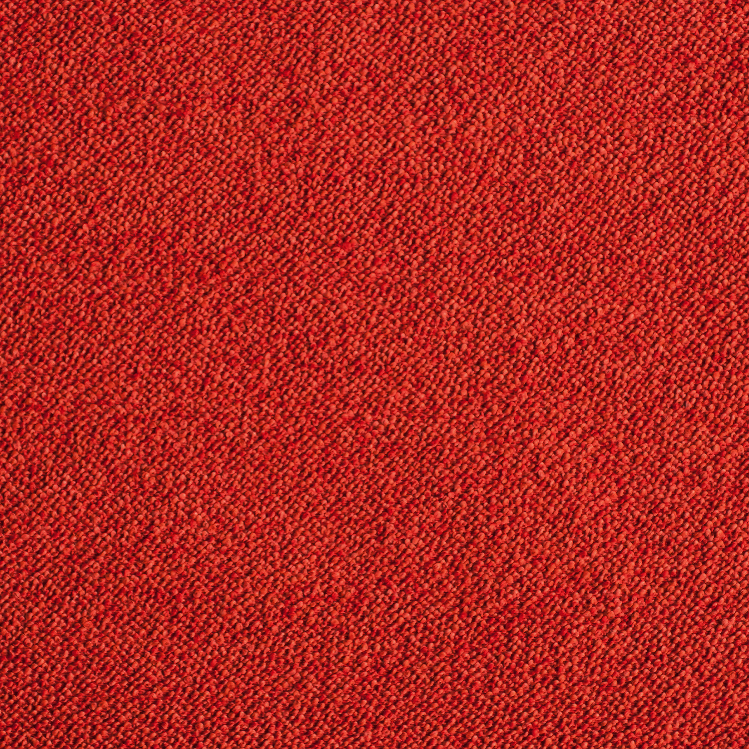 Cardinal