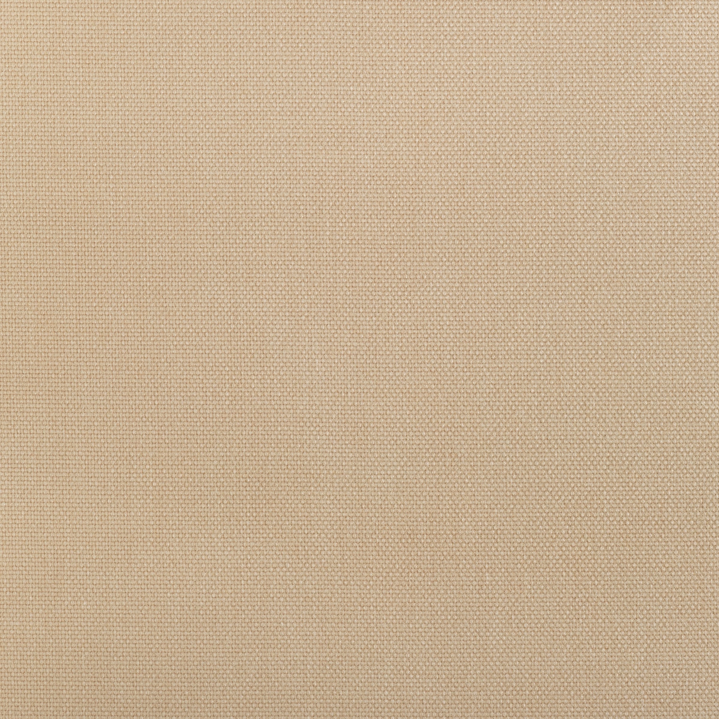 Wheat