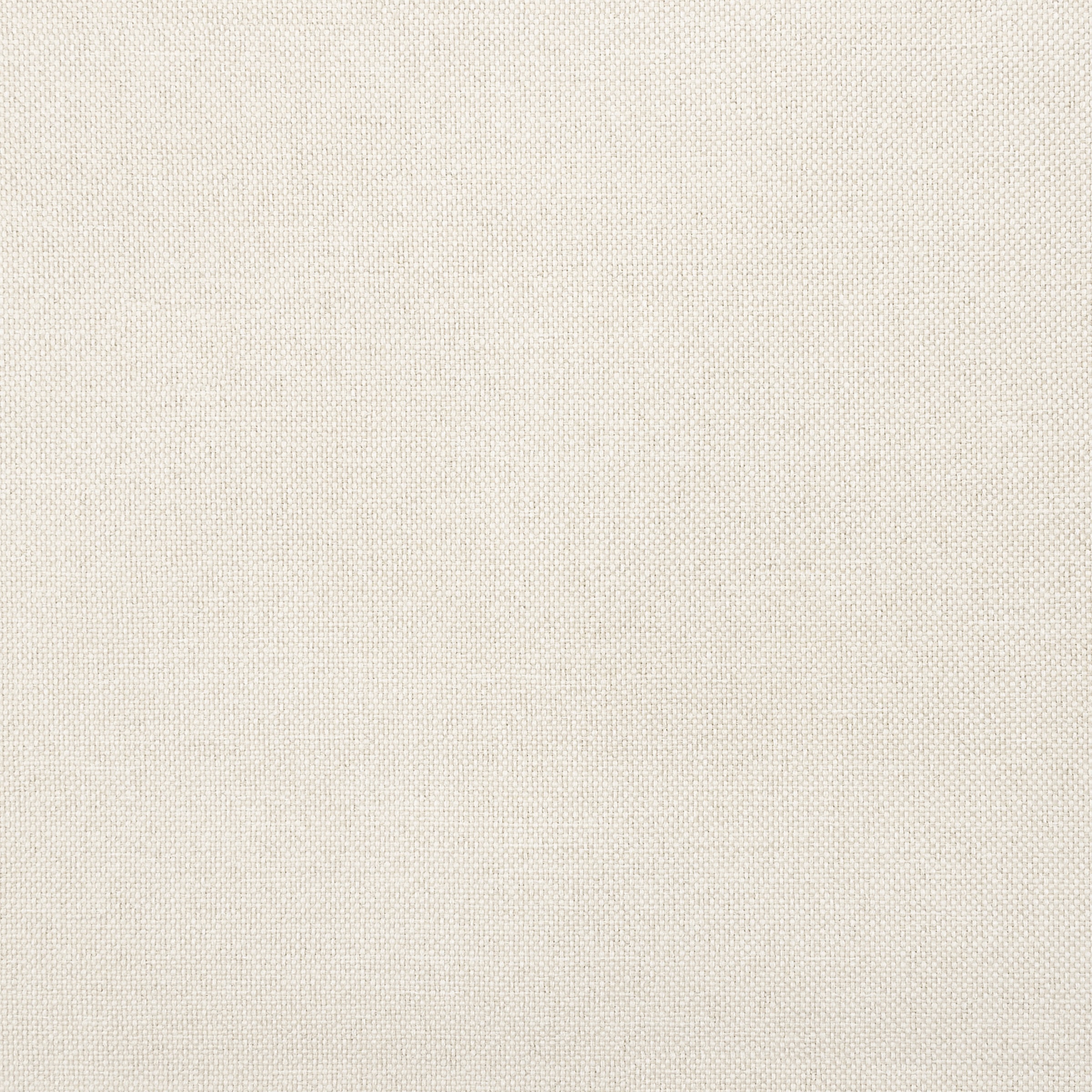 Dove