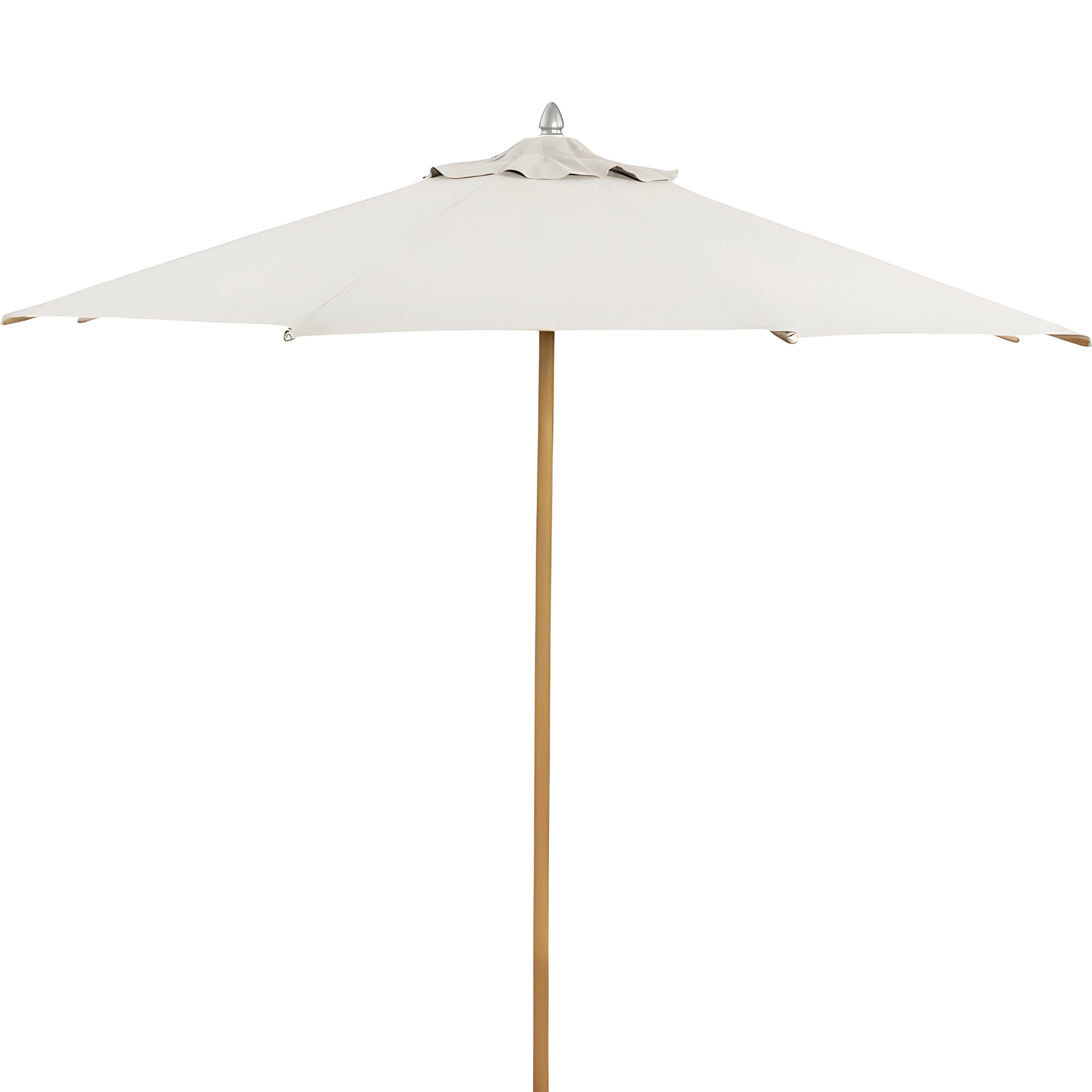 Poly Canopy
