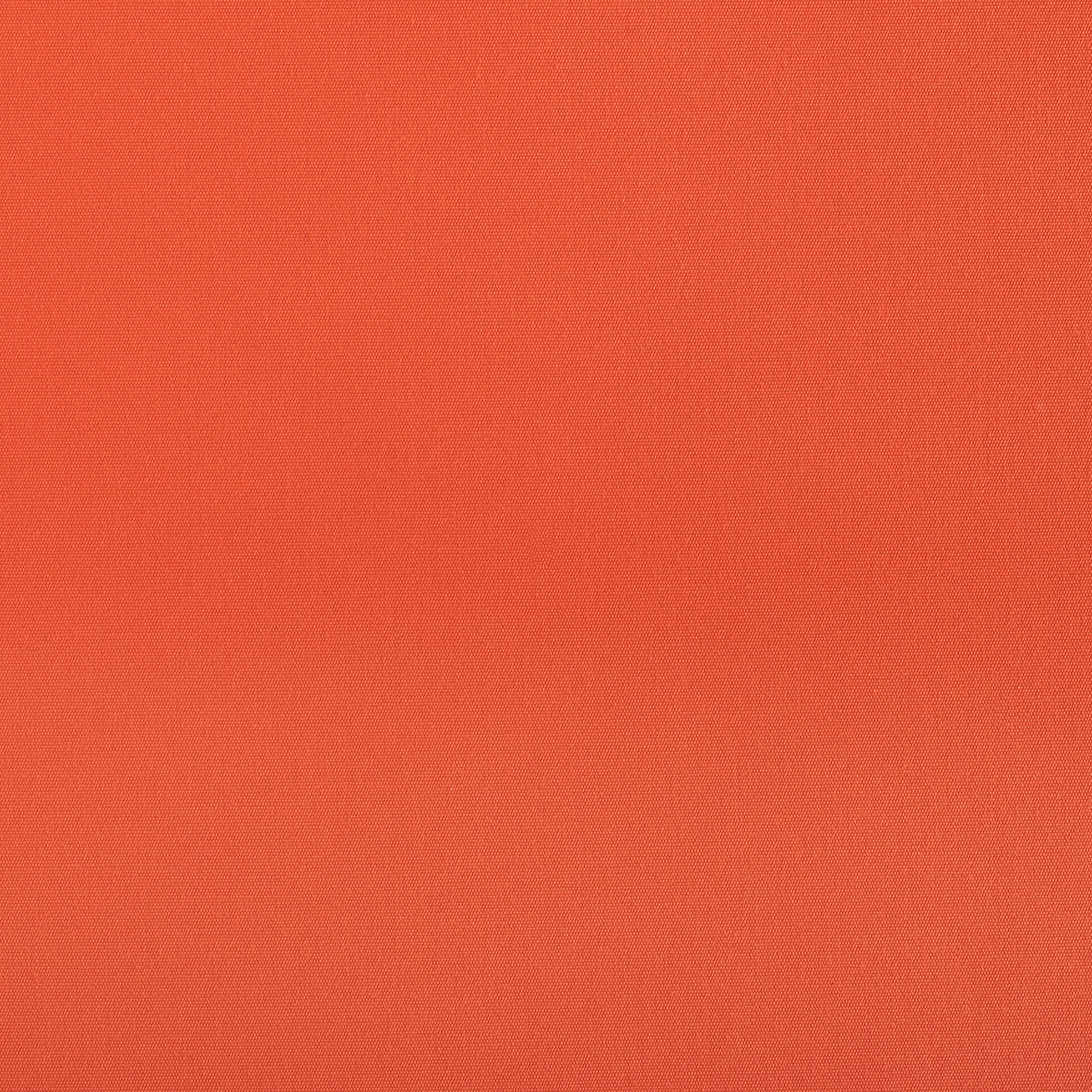 Persimmon