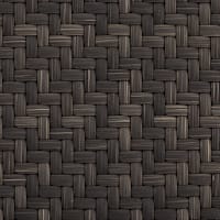 JanusFiber