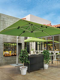 Umbrellas