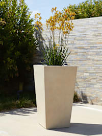 Planters