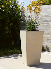 Planters