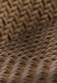 JanusFiber