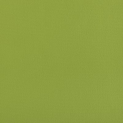 Spinnaker/ Parrot