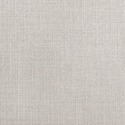 SAN PANTALEO/ Grey