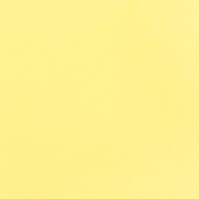 JARDIN SOLID/ Lemonade