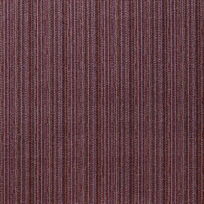 VERA/ Plum