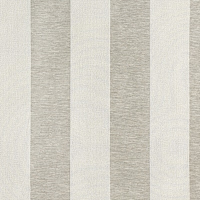 PITCH STRIPE/ Dolphin