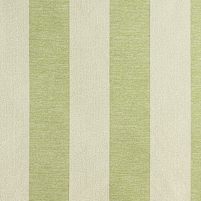 PITCH STRIPE/ Avocado