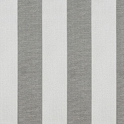PITCH STRIPE/ Peppercorn
