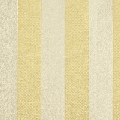 PITCH STRIPE/ Quince