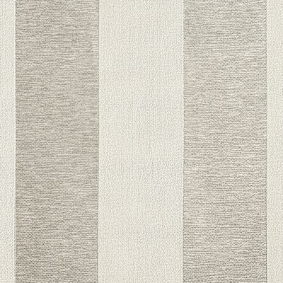 PITCH STRIPE WIDE/ Dolphin