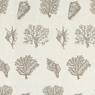 SEA FAN/ Clay