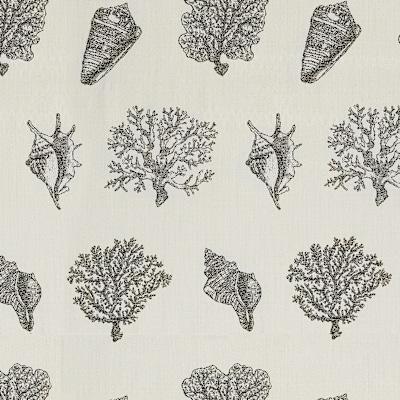 SEA FAN/ Licorice
