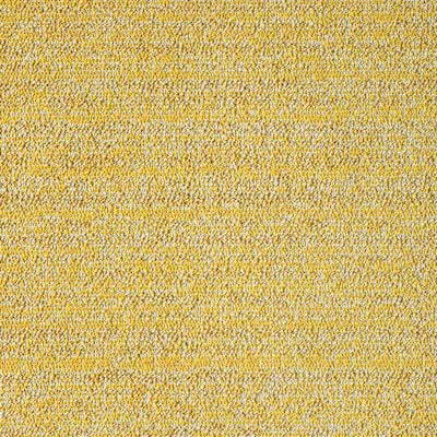 ULURU/ Jonquil