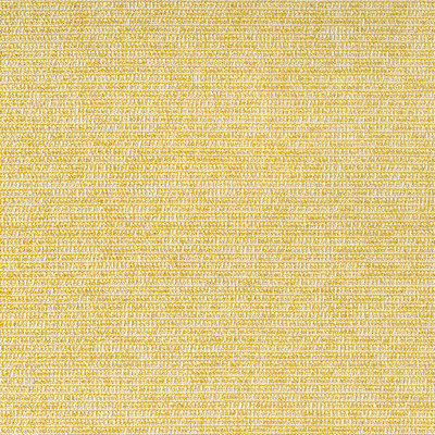 SOUND VIEW/ Jonquil