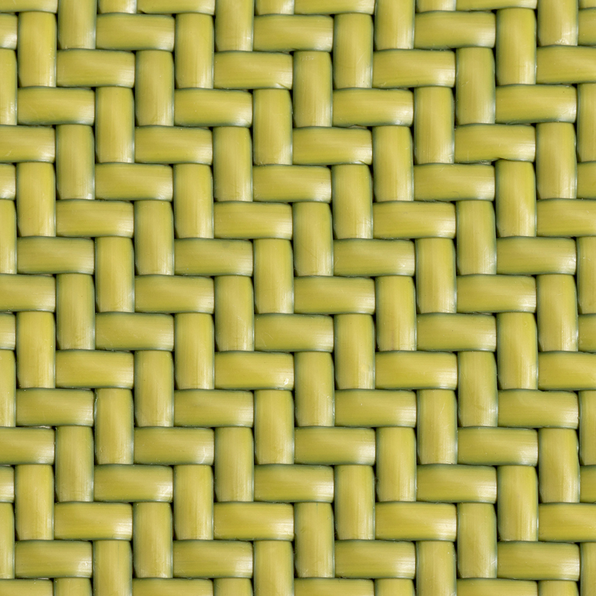 Bamboo Green