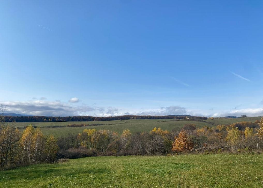 Predám slnečný pozemok v lokalite Poproč (okres Košice-okolie)