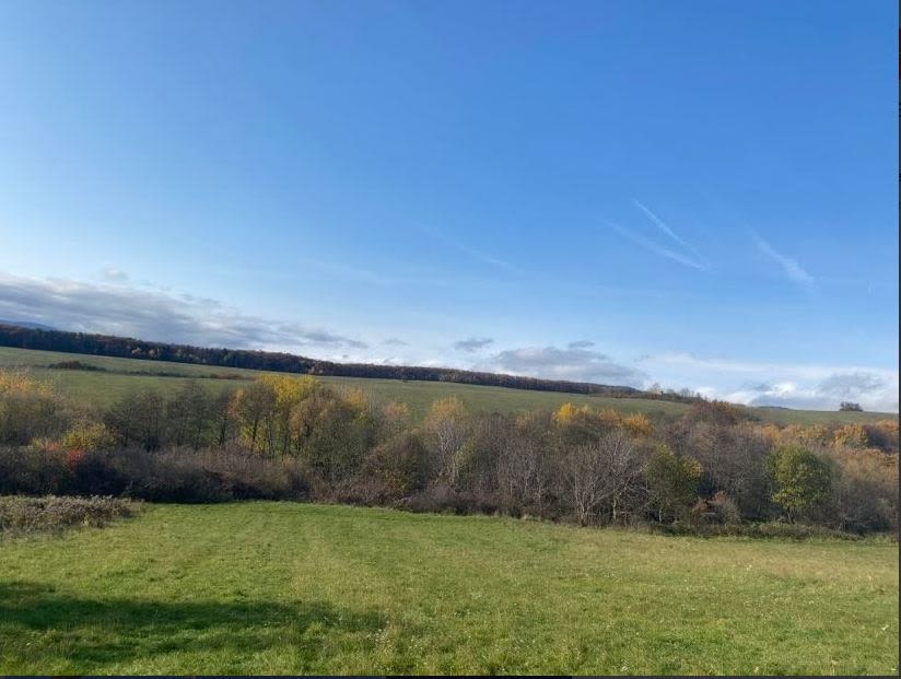 Predám slnečný pozemok v lokalite Poproč (okres Košice-okolie)