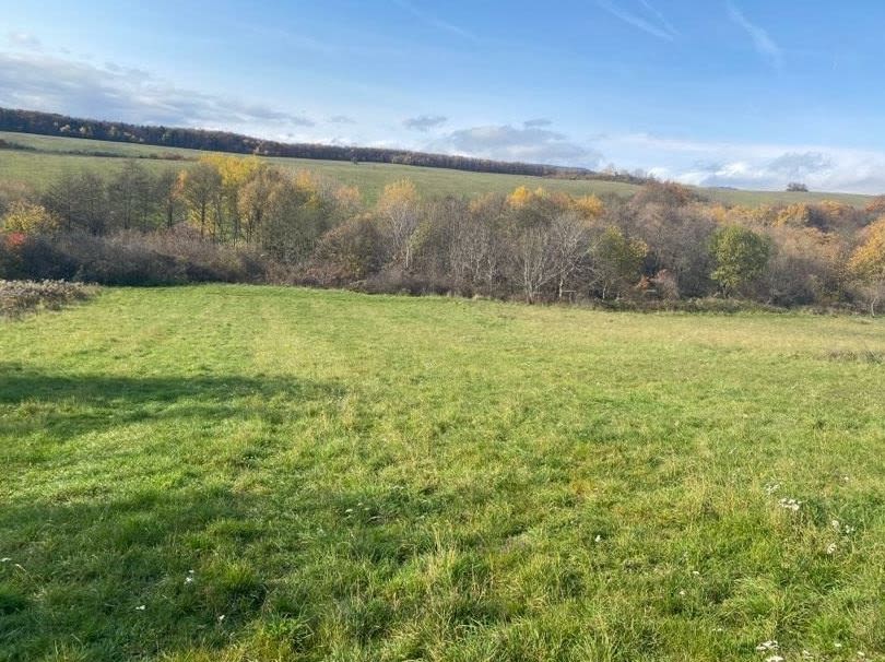 Predám slnečný pozemok v lokalite Poproč (okres Košice-okolie)