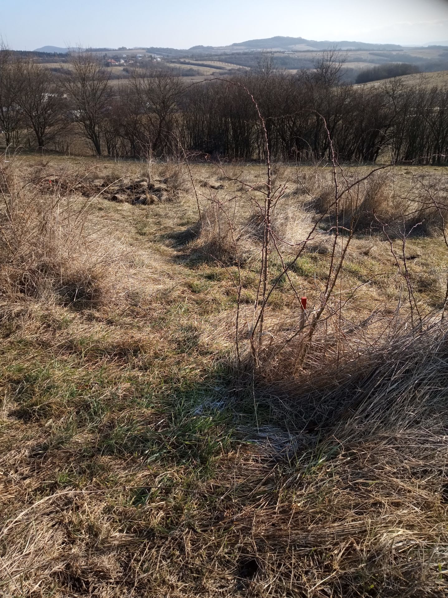 Predám slnečný pozemok v lokalite Bzince pod Javorinou