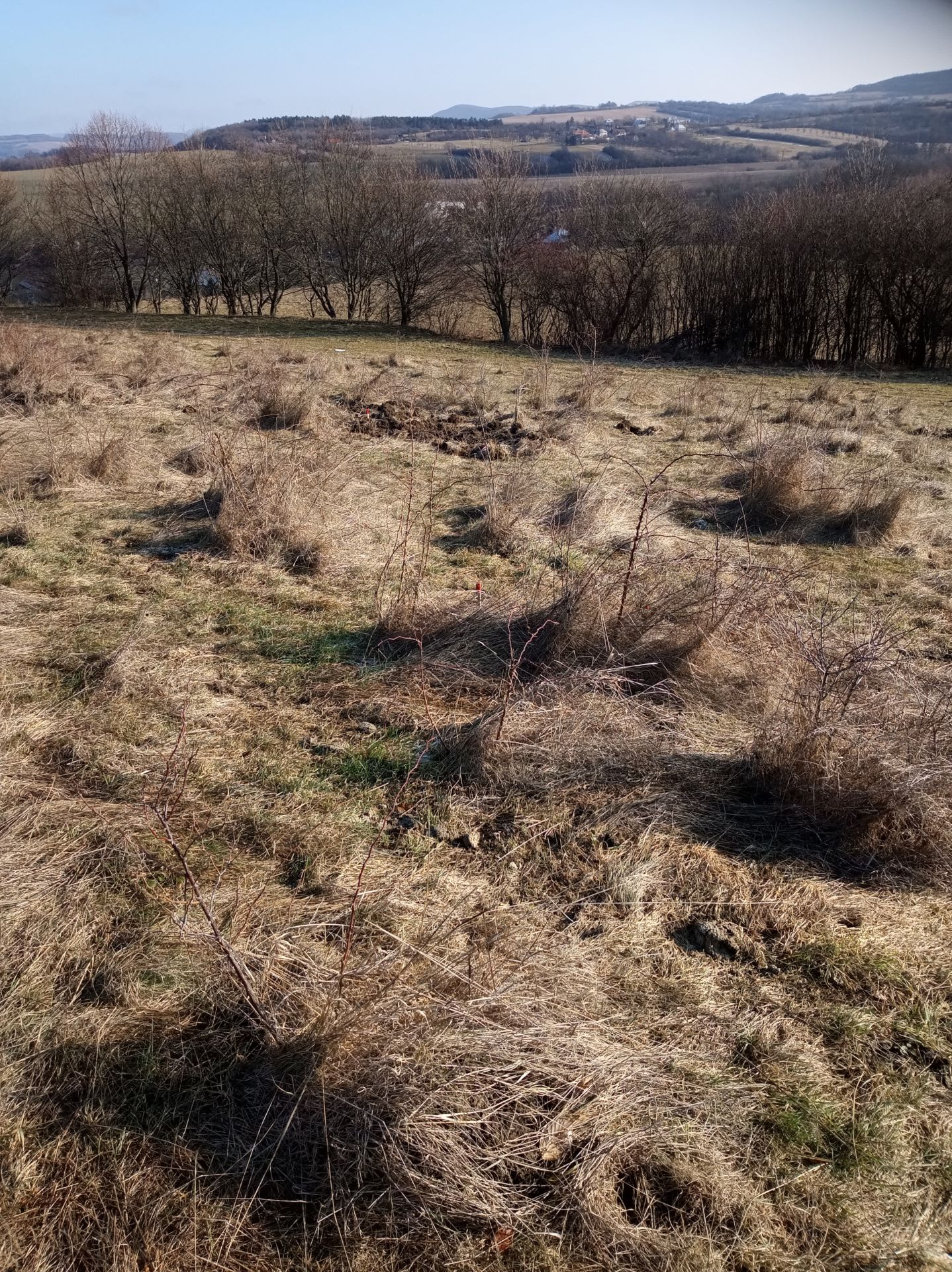 Predám slnečný pozemok v lokalite Bzince pod Javorinou