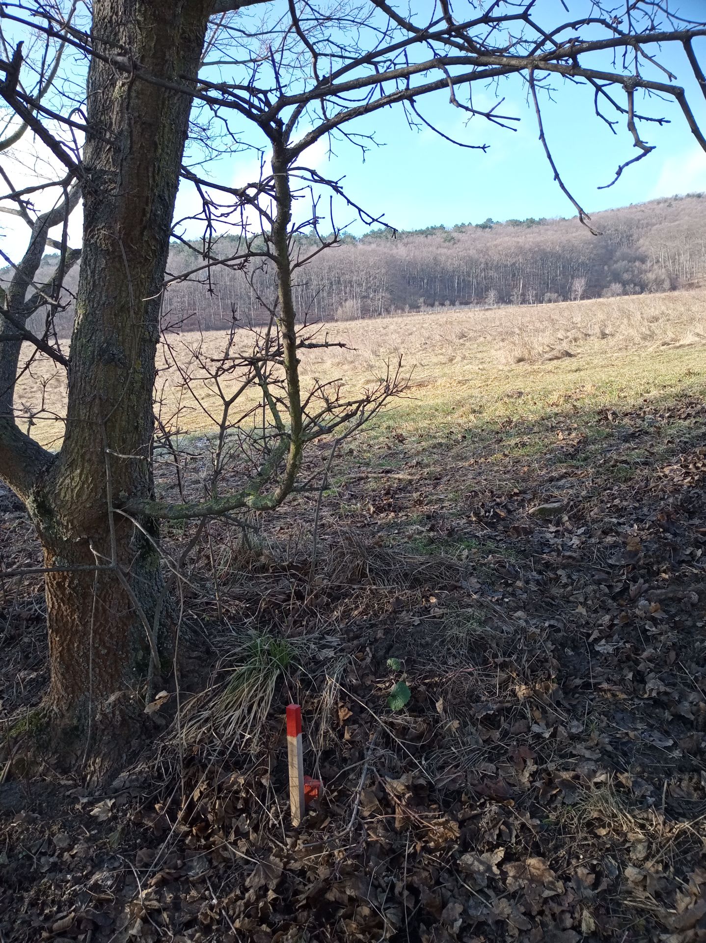 Predám slnečný pozemok v lokalite Bzince pod Javorinou